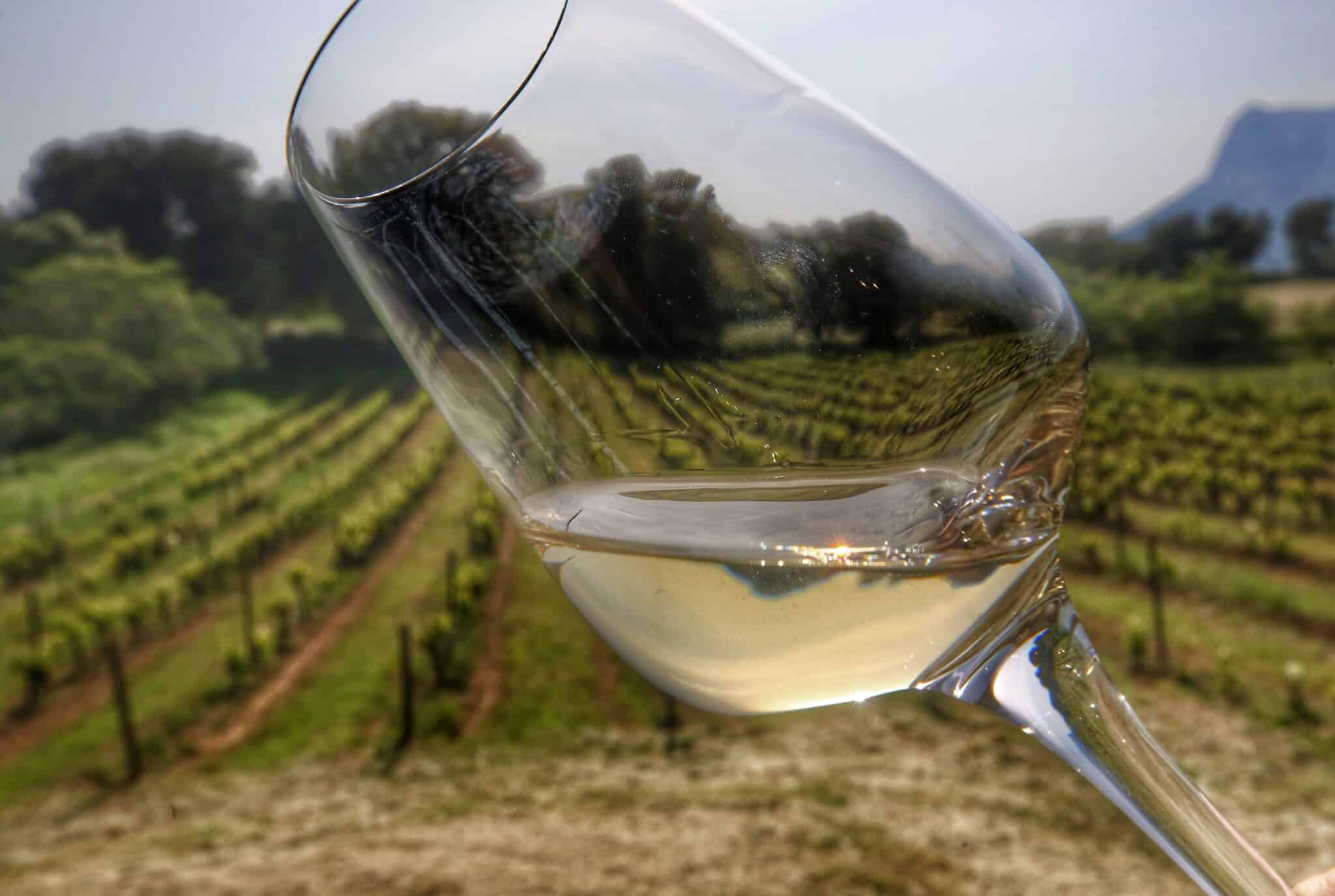 bloc 1 nos vignobles scaled