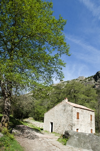 bloggif 60477e339ec9c