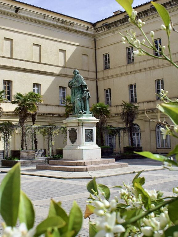 cour du fesch edited