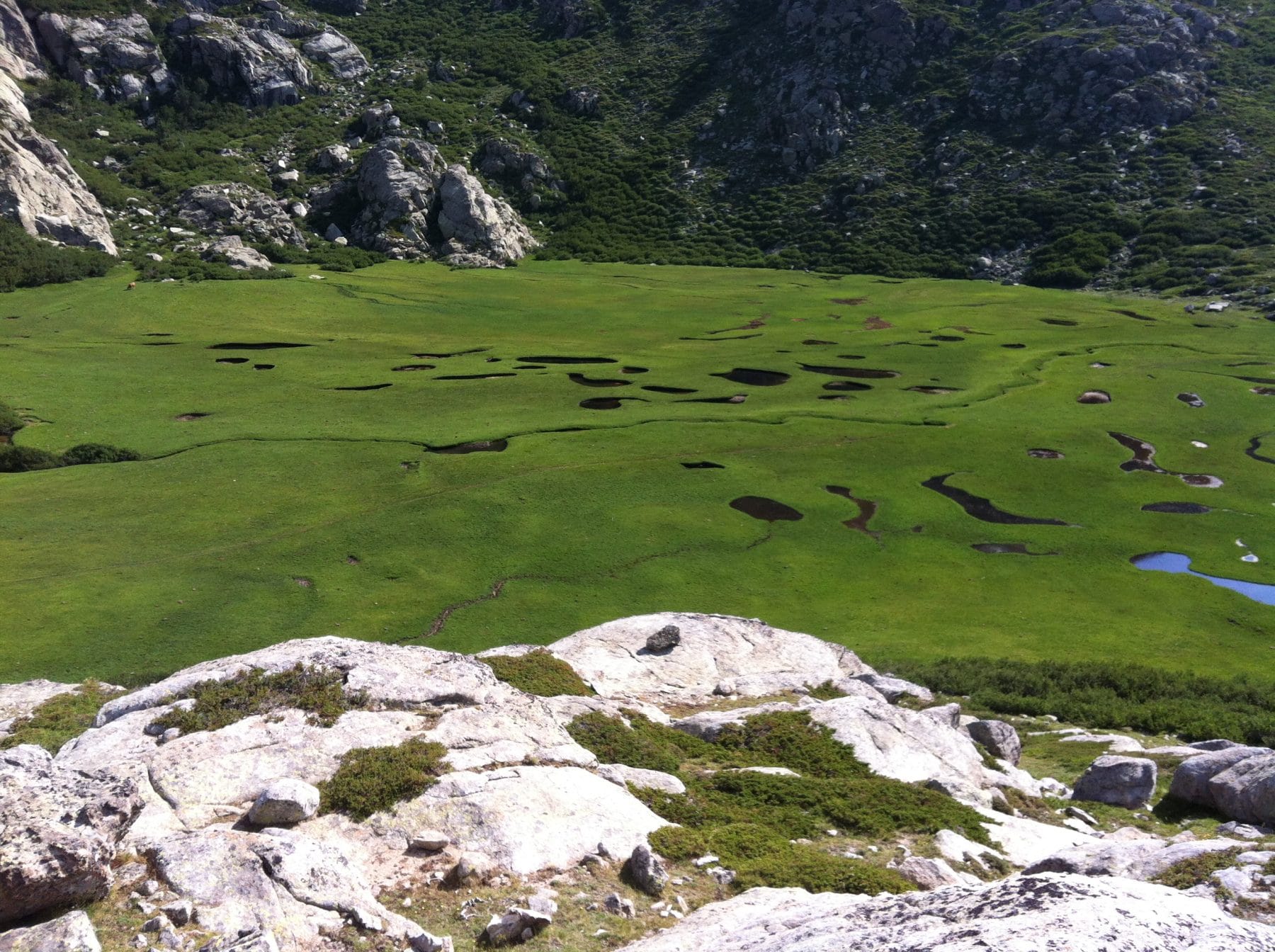 i pozzi choix 1 scaled 1