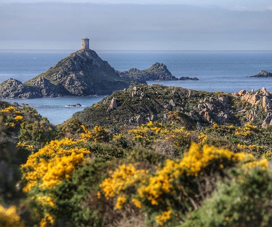 parata genets sentier