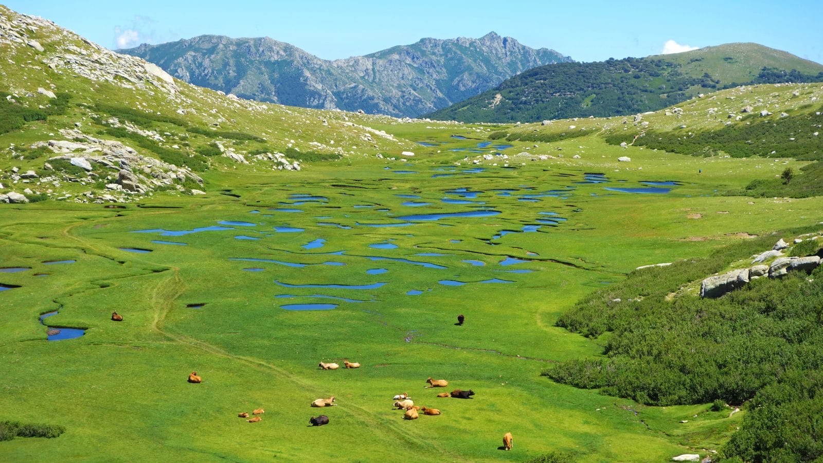 pozzi012 oticp 1600x900 1