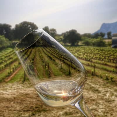 Photo d'un verre de vin en avant plan d'une vigne de l'AOP Ajaccio